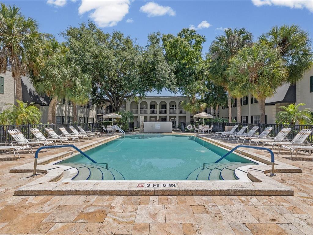 A rectangular swimming pool with lounge chairs on a stone patio surrounded by palm trees — 4335 AEGEAN DRIVE UNIT 128A, TAMPA, FL
