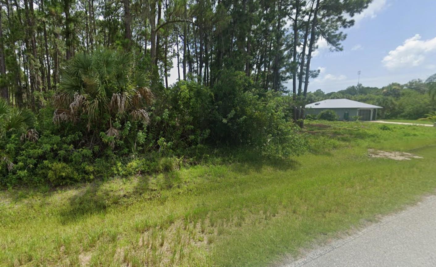 A grassy lot with dense trees and shrubs sits next to a single-story house — 12203 Chamberlain Boulevard, FL 33953, FL