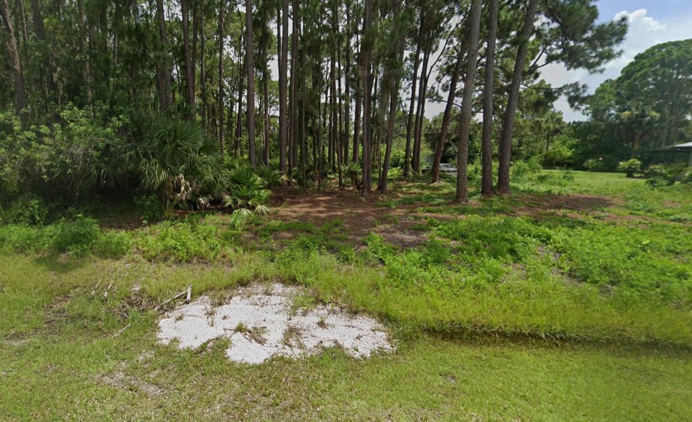 A grassy lot features a cluster of tall pine trees and low-lying vegetation — 12203 Chamberlain Boulevard, FL 33953, FL