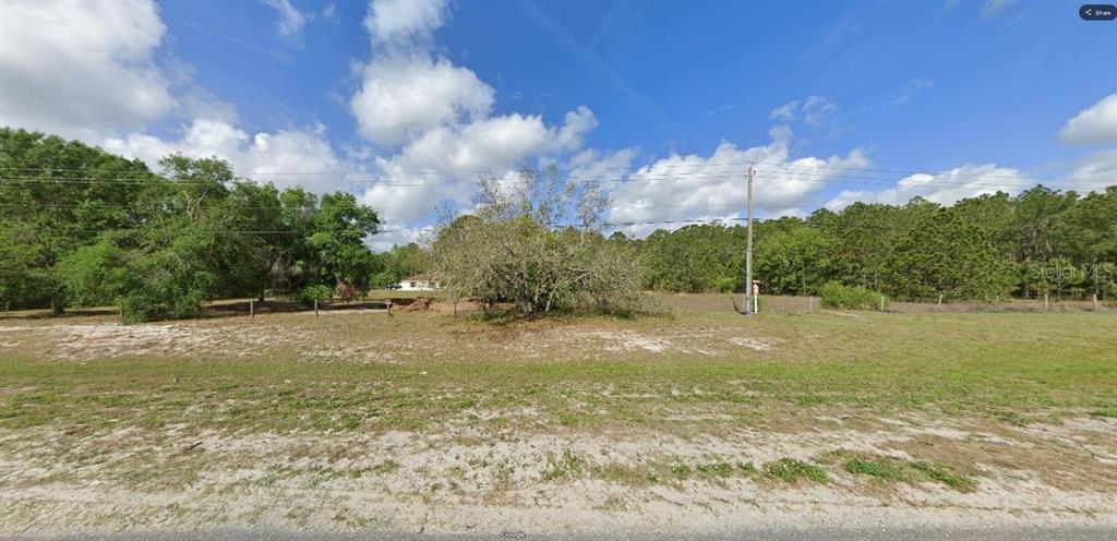 A vacant, grassy lot with scattered trees and a utility pole under a blue sky — COMMONWEALTH AVE N, POLK CITY, FL