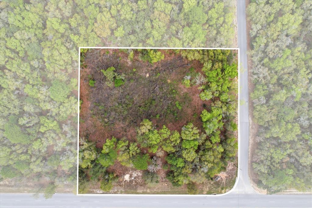 161 W NORVELL BRYANT HIGHWAY, HERNANDO, FL — photo 4 of 14