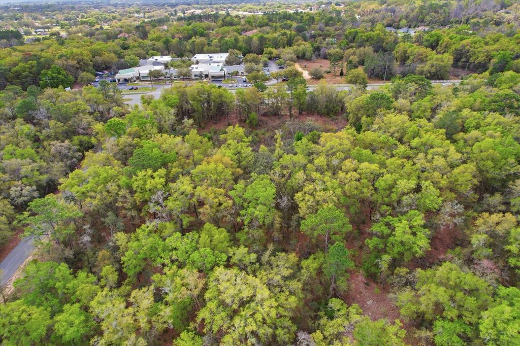 161 W NORVELL BRYANT HIGHWAY, HERNANDO, FL — photo 5 of 14
