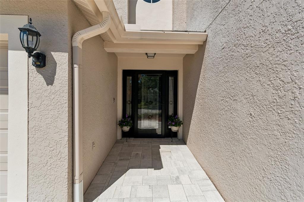 A covered entryway features a paved floor, a dark front door, and two potted plants — 5401 LOOKOUT PASS, WESLEY CHAPEL, FL