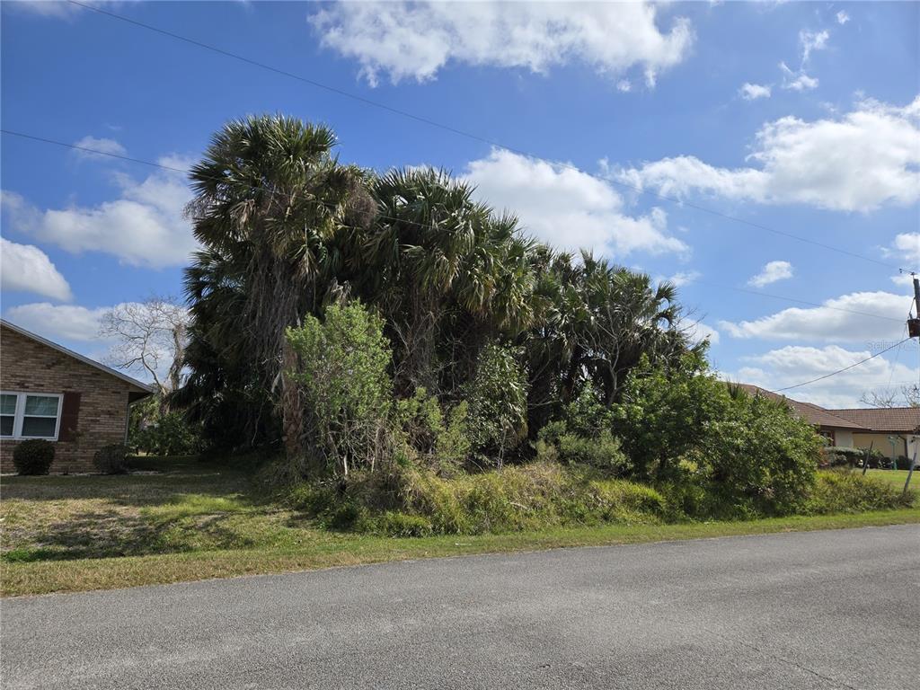 A vacant, overgrown lot with palm trees sits between two residential houses — 25 CHRISTOPHER COURT N, PALM COAST, FL