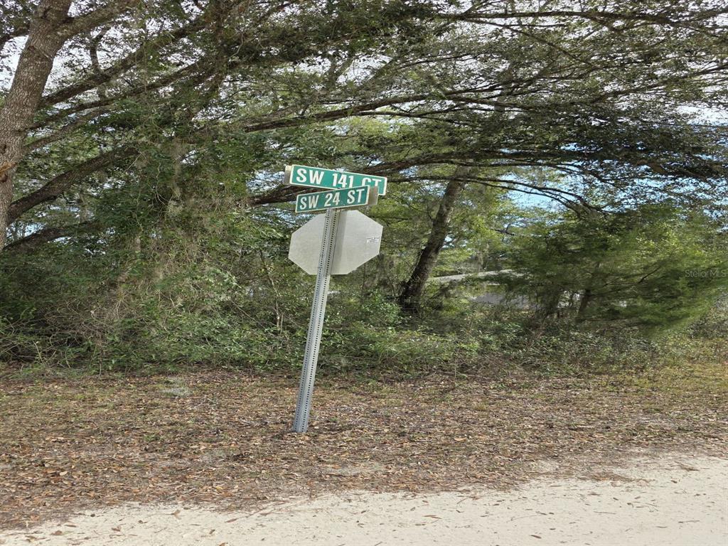 A street sign for SW 141 Ct and SW 24 St stands in a wooded area — SW 141ST COURT, OCALA, FL