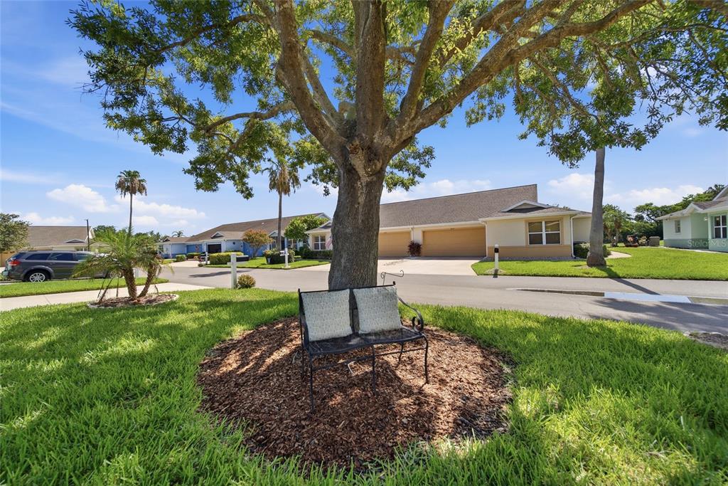 A metal bench sits under a large tree in a grassy front yard — 3007 LIVE OAK LANE UNIT 34, PALMETTO, FL