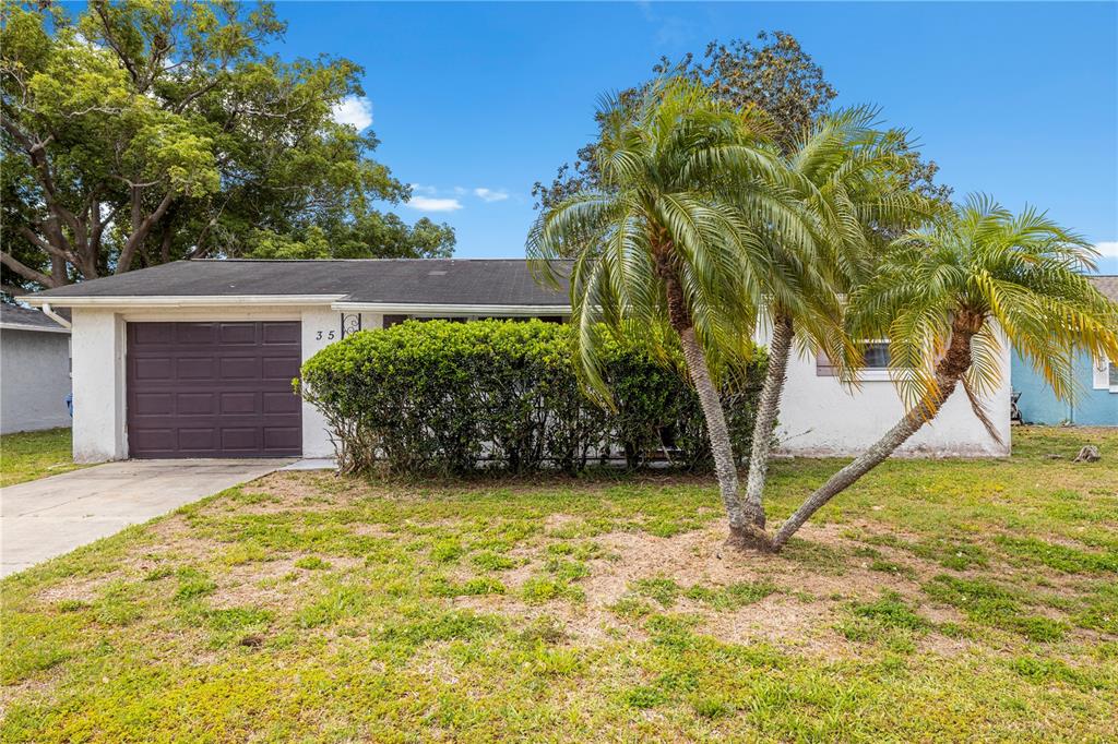 A single-story house with a garage, a large hedge, and palm trees in the front yard — 3510 WILSON DRIVE, HOLIDAY, FL