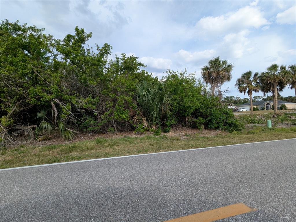 A vacant, overgrown lot sits beside a paved road with palm trees in the background — 2324 ACHILLES STREET, PUNTA GORDA, FL