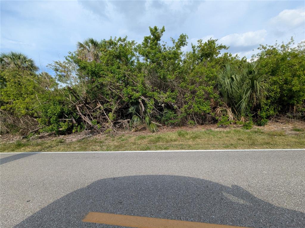 A paved road runs in front of a dense, overgrown wooded lot — 2324 ACHILLES STREET, PUNTA GORDA, FL