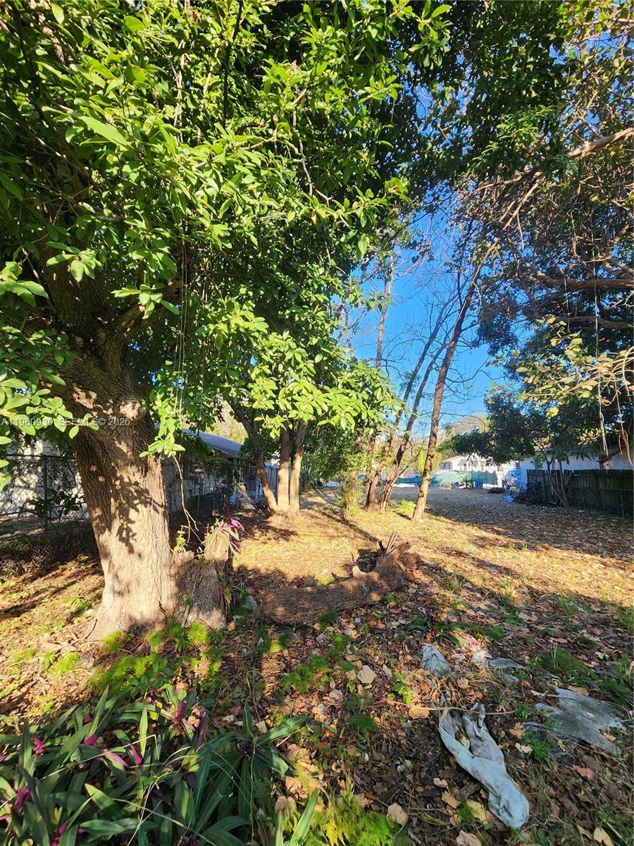 A large tree stands in a grassy, leaf-covered yard with a wooden fence nearby — 6742 NW 4th Ave, Miami FL 33150, MIAMI, FL