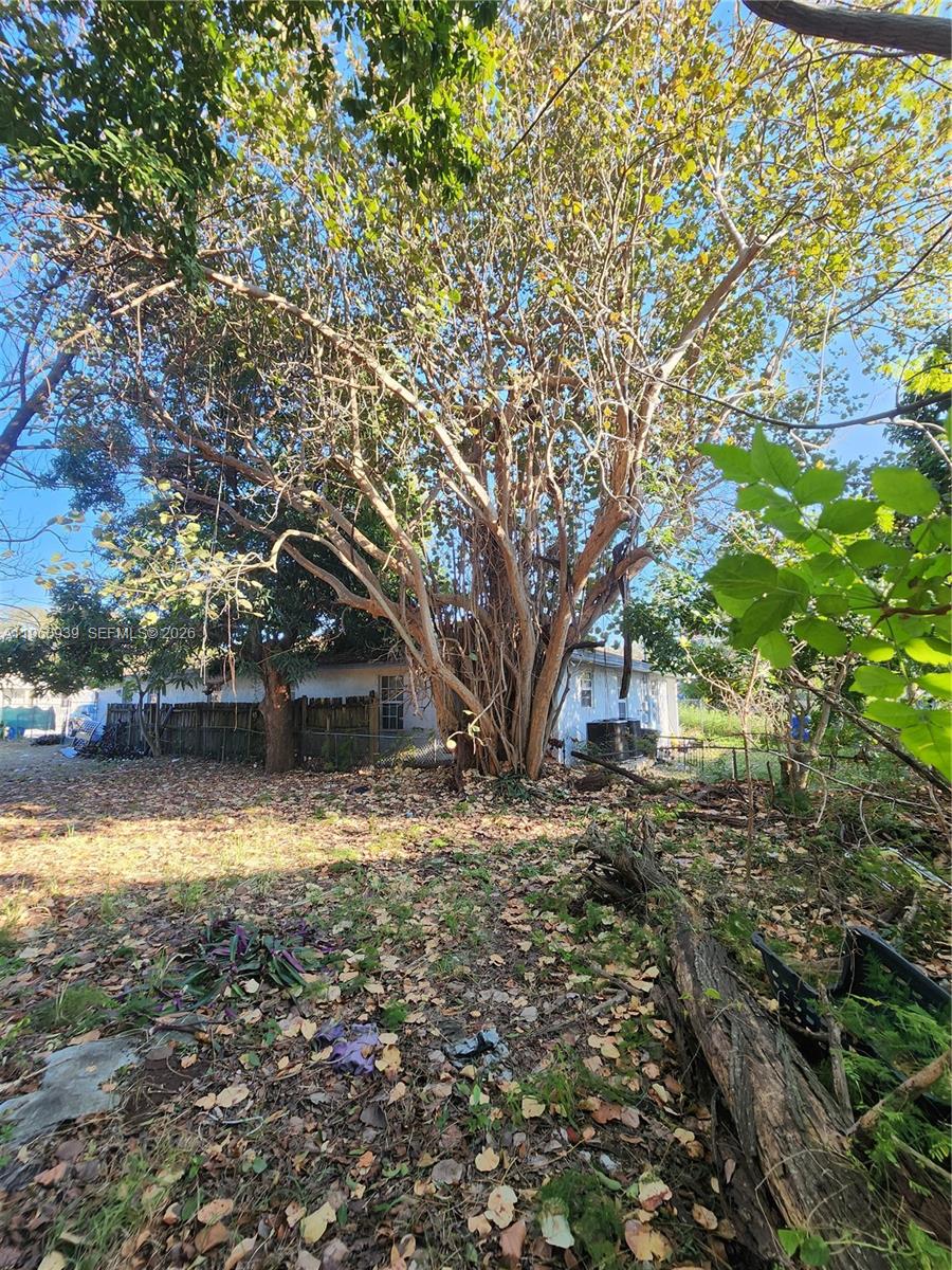 A large, multi-trunked tree stands in a yard in front of a white house — 6742 NW 4th Ave, Miami FL 33150, MIAMI, FL