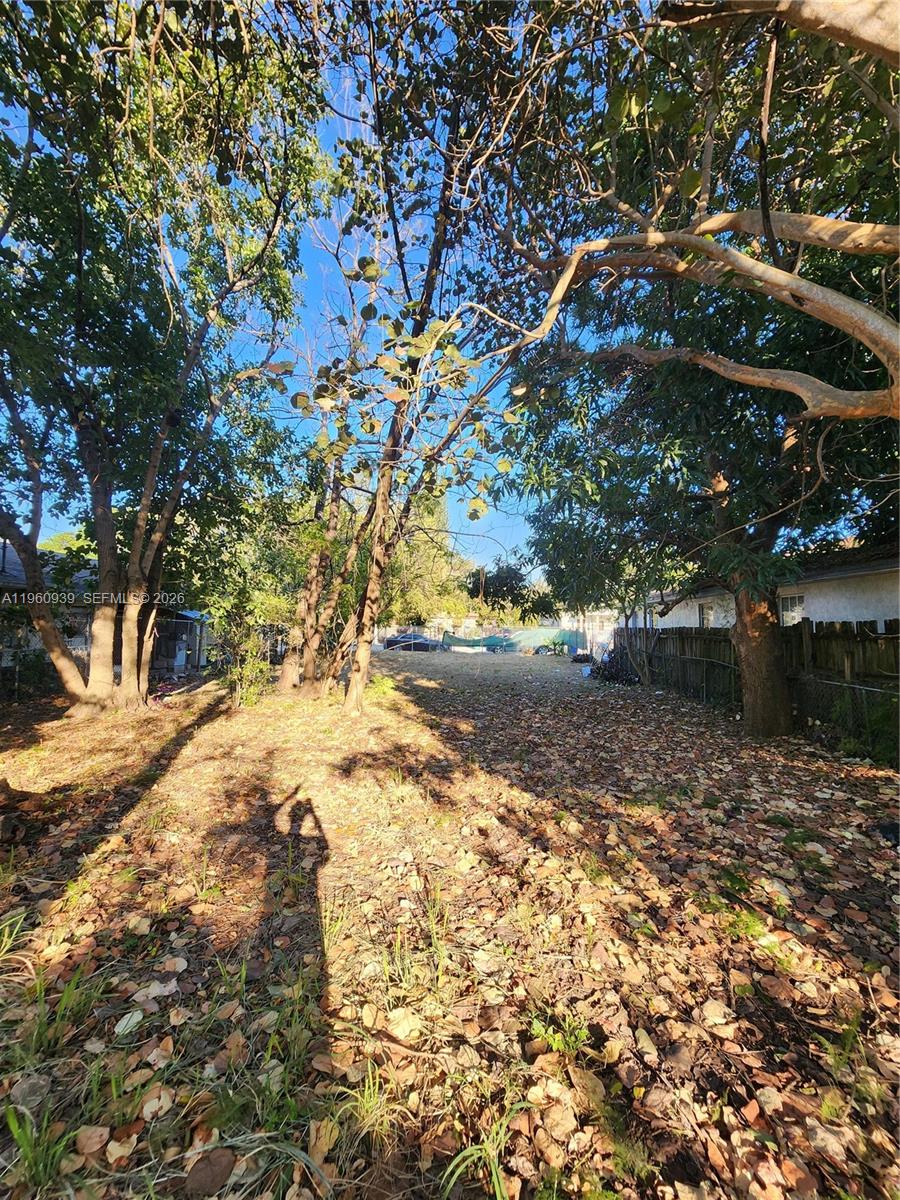 A view of a tree-filled backyard with a wooden fence and scattered fallen leaves — 6742 NW 4th Ave, Miami FL 33150, MIAMI, FL