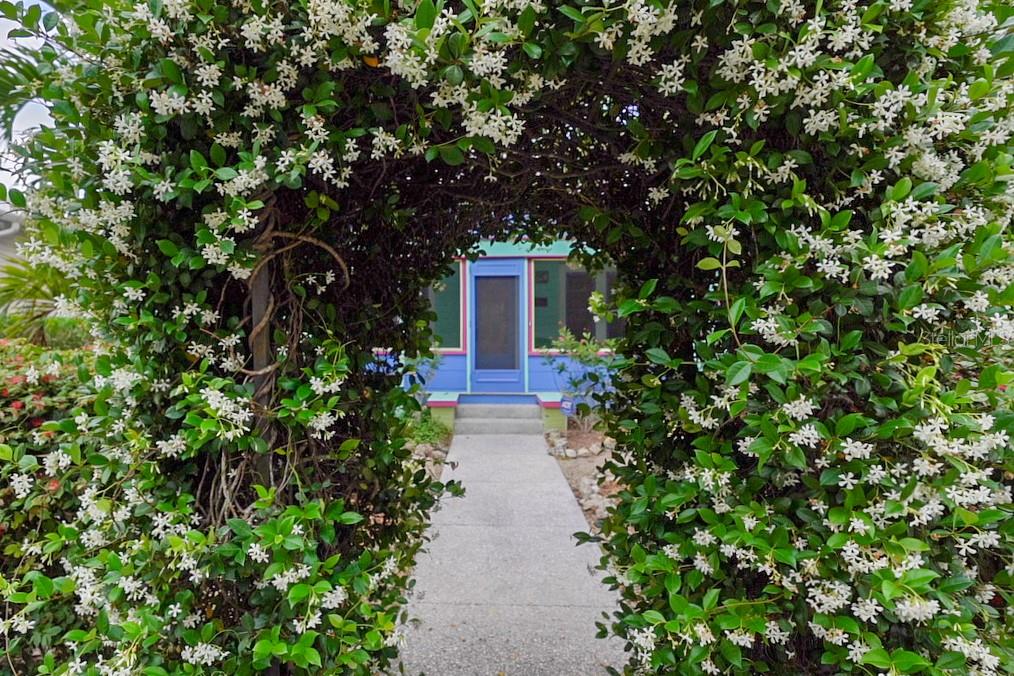 A concrete walkway leads through a flowering jasmine archway to a colorful house entrance — 642 OHIO PLACE, SARASOTA, FL