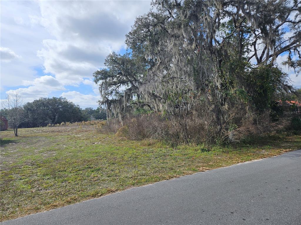 A paved road runs alongside a grassy, partially wooded vacant lot with large mossy trees — 34794 ORCHID PARKWAY, DADE CITY, FL