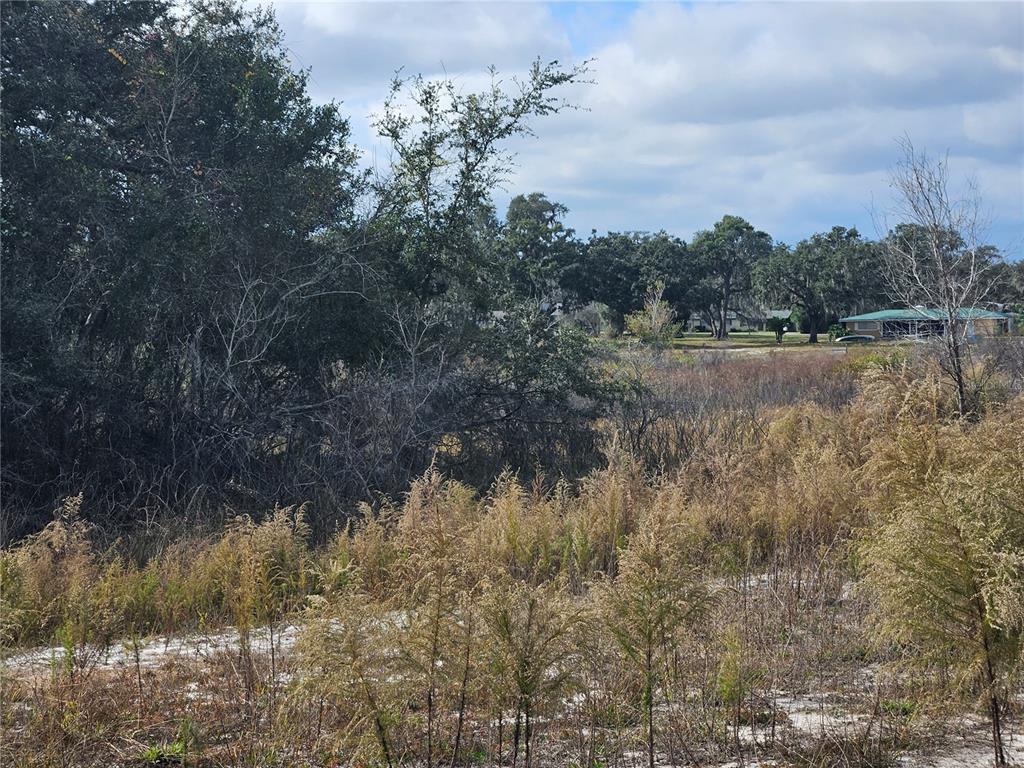 A view of a vacant, grassy lot with trees and a house in the distance — 34794 ORCHID PARKWAY, DADE CITY, FL