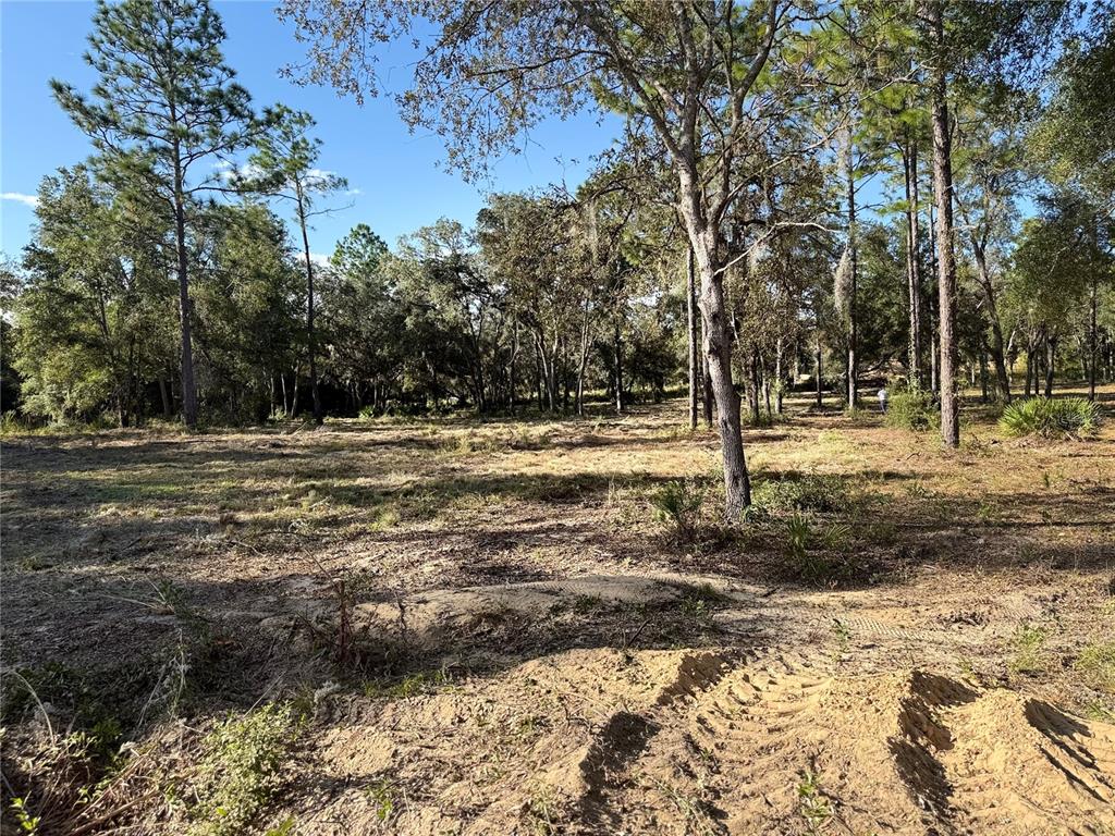 11491 NE 109TH PL, ARCHER, FL — photo 4 of 8