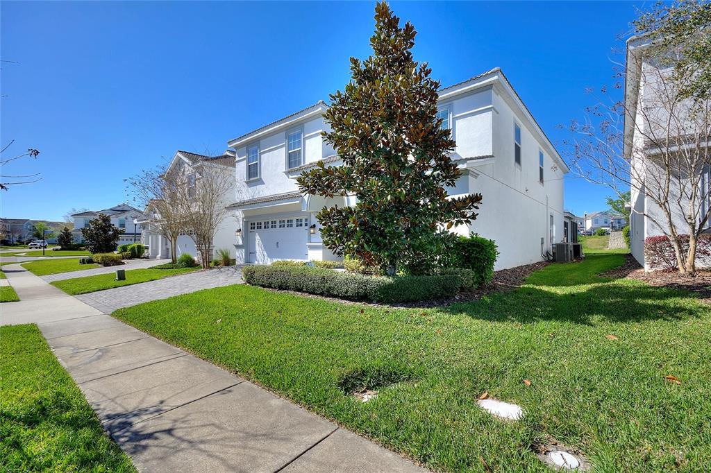 A two-story white stucco house with a paved driveway and a large magnolia tree — 1524 FLANGE DRIVE, DAVENPORT, FL