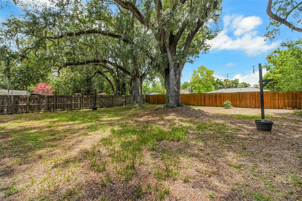 A large backyard features two mature oak trees and a wooden privacy fence — 301 S HAMPTON AVENUE, ORLANDO, FL