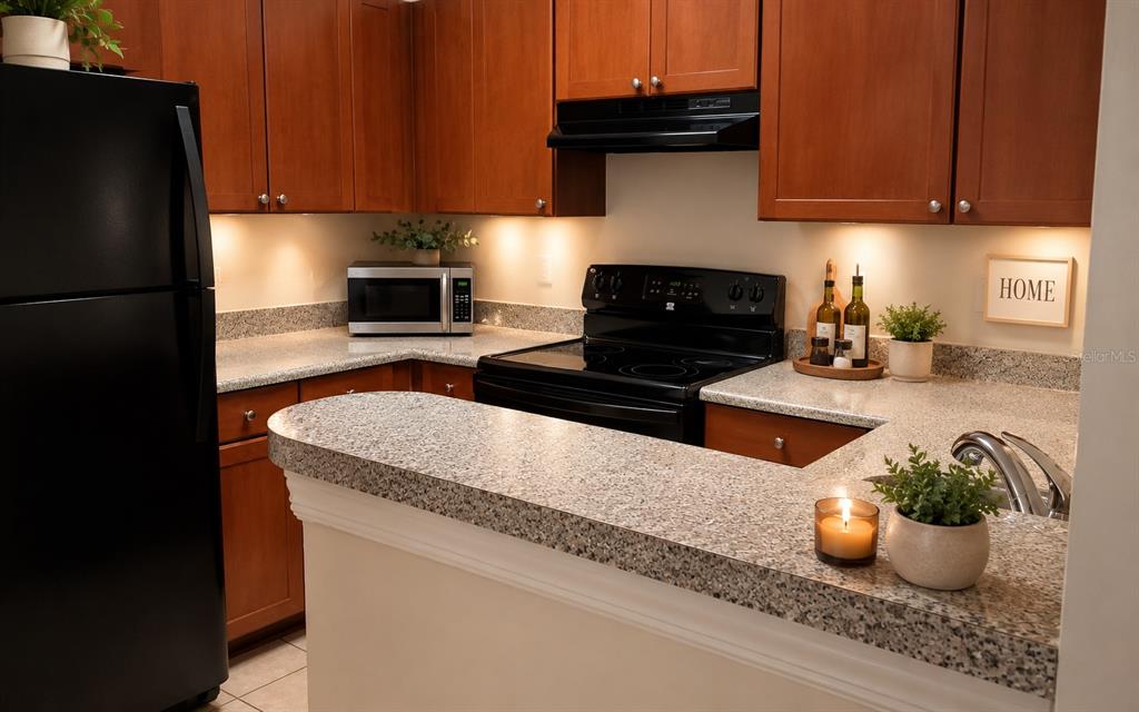 A kitchen features wood cabinets, granite countertops, black appliances, and under-cabinet lighting — 204 E SOUTH STREET UNIT 3060, ORLANDO, FL