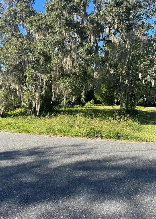 A vacant, grassy lot is shaded by large trees draped in Spanish moss — Lot 8 NE 1ST STREET, WILLISTON, FL