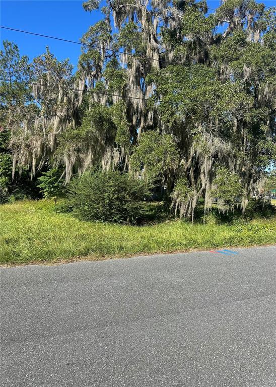 A large tree draped in Spanish moss stands behind a grassy lot near a road — Lot 8 NE 1ST STREET, WILLISTON, FL