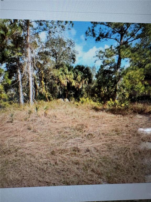 A grassy, undeveloped lot is surrounded by tall pine trees and dense tropical vegetation — MATTOX CIRCLE, NORTH PORT, FL