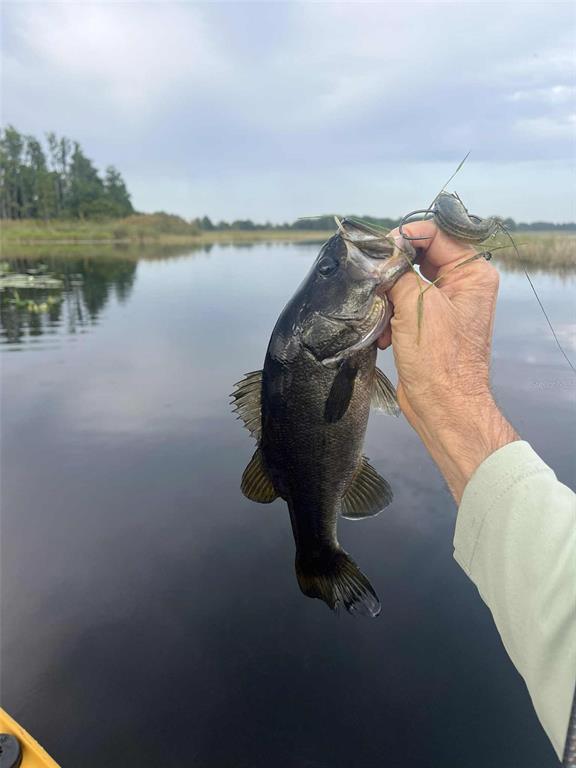 A person holds a caught largemouth bass over a calm lake from a kayak — 1135 N JACKADEE POINT, INVERNESS, FL