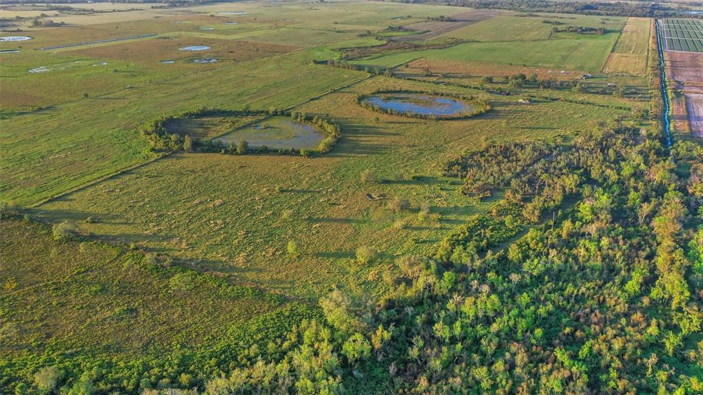 An aerial view shows a grassy field with two circular ponds and surrounding forest — 44250 CLAY GULLY ROAD, MYAKKA CITY, FL