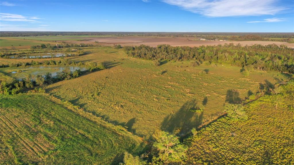 An aerial view shows a large, grassy pasture bordered by trees and small ponds — 44250 CLAY GULLY ROAD, MYAKKA CITY, FL