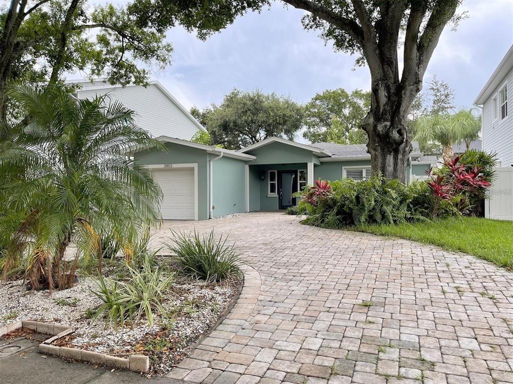 A single-story house with a light green exterior, a paved driveway, and a large tree — 3903 W CORONA STREET, TAMPA, FL