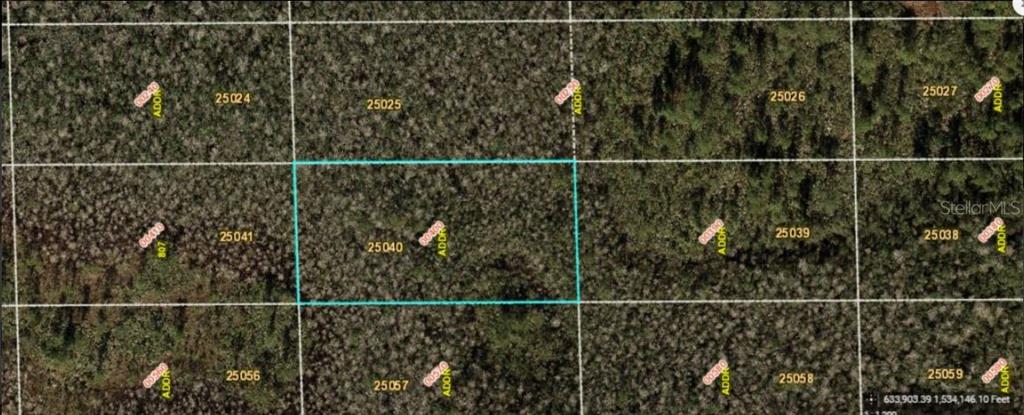 This is a satellite map view showing a highlighted rectangular plot of land among wooded lots — DILL ROAD, ORLANDO, FL