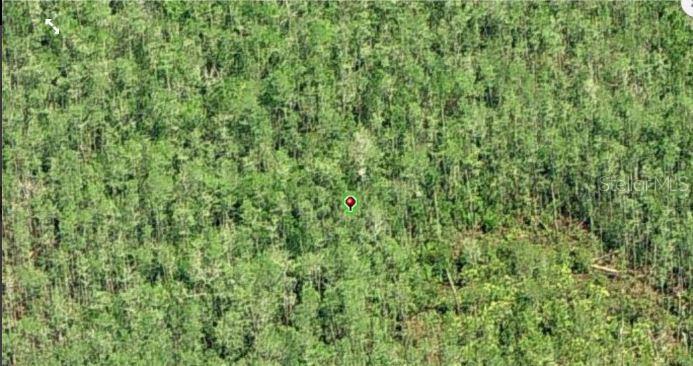 An aerial view shows a dense, wooded plot of land marked with a red map pin — DILL ROAD, ORLANDO, FL