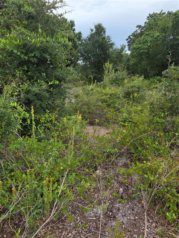 2354 MARCELLA TERRACE, PUNTA GORDA, FL — photo 2 of 5
