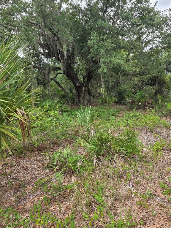 2354 MARCELLA TERRACE, PUNTA GORDA, FL — photo 3 of 5