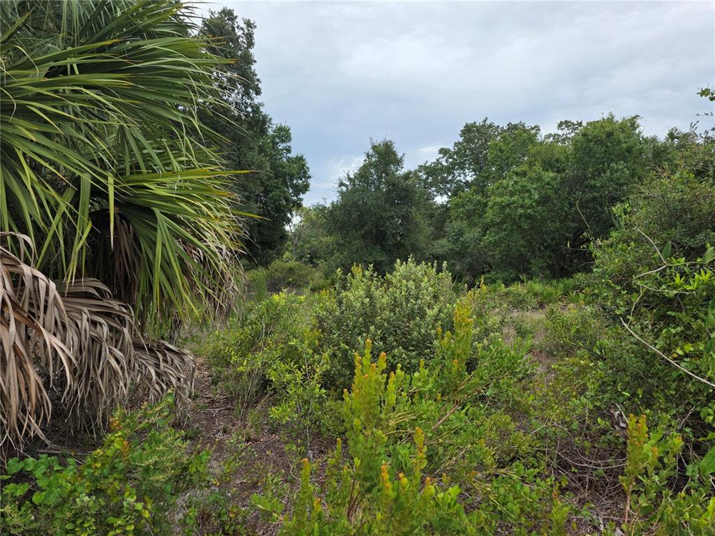 2354 MARCELLA TERRACE, PUNTA GORDA, FL — photo 4 of 5