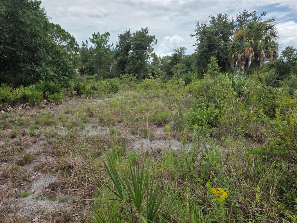 2354 MARCELLA TERRACE, PUNTA GORDA, FL — photo 5 of 5