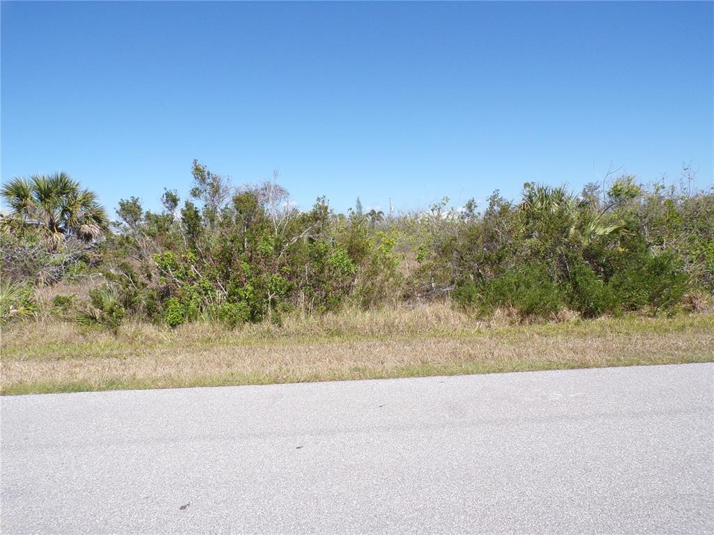 A view of a vacant, brush-covered lot adjacent to an asphalt road under a clear sky — 15547 MCCOMB CIRCLE, PORT CHARLOTTE, FL