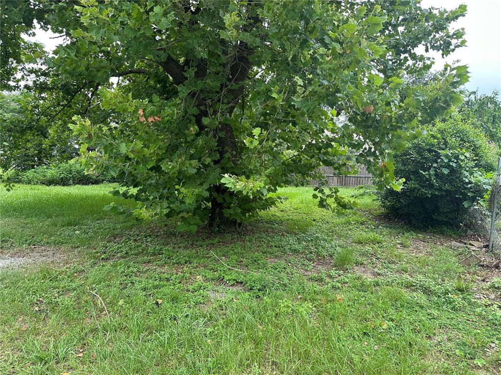 A large, mature tree stands in a grassy yard next to a chain-link fence — 13678 SE 55TH AVENUE, SUMMERFIELD, FL