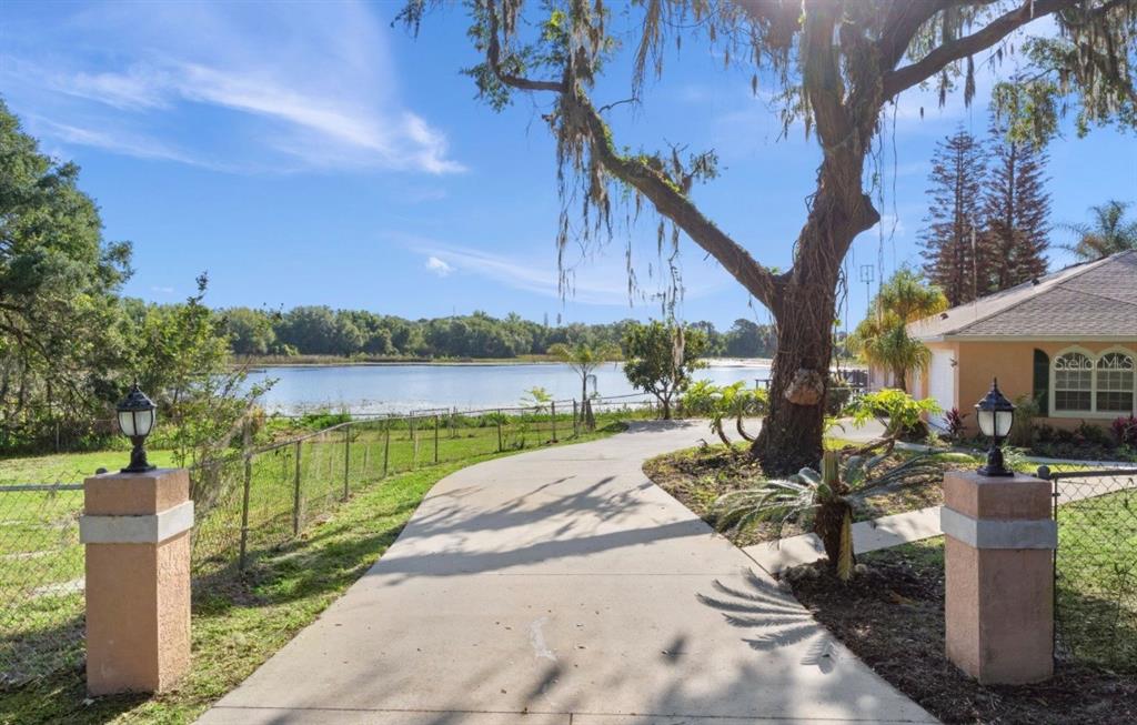 A concrete driveway leads toward a house beside a lake under a large oak tree — 9440 COUNTY ROAD 561, CLERMONT, FL