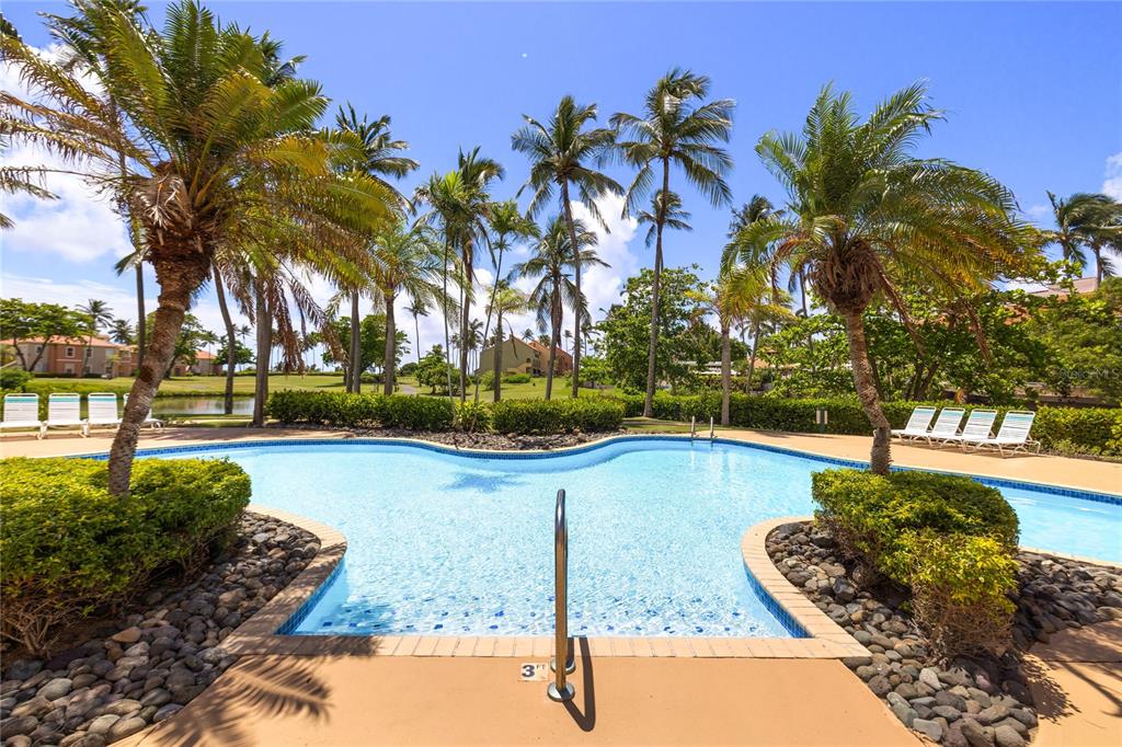 An outdoor swimming pool surrounded by palm trees, landscaping, and lounge chairs — . CANDELERO DRIVE UNIT A303, HUMACAO, PR