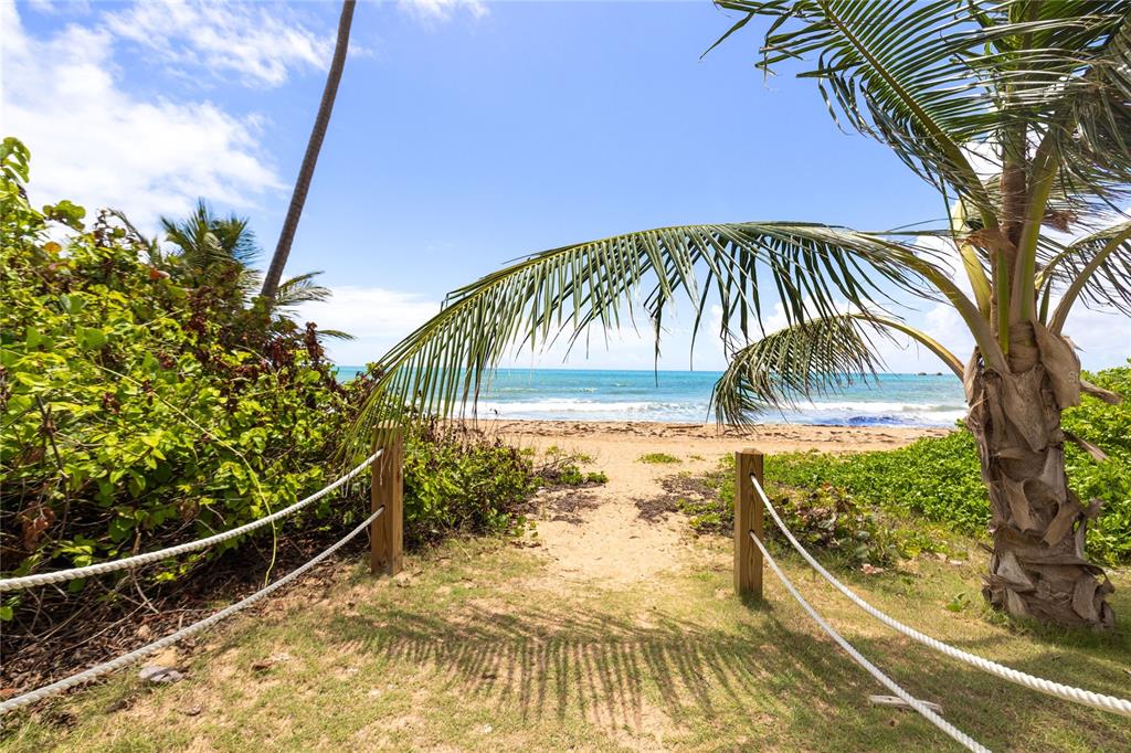 A sandy path leads through a rope-fenced opening toward a beach with palm trees — . CANDELERO DRIVE UNIT A303, HUMACAO, PR