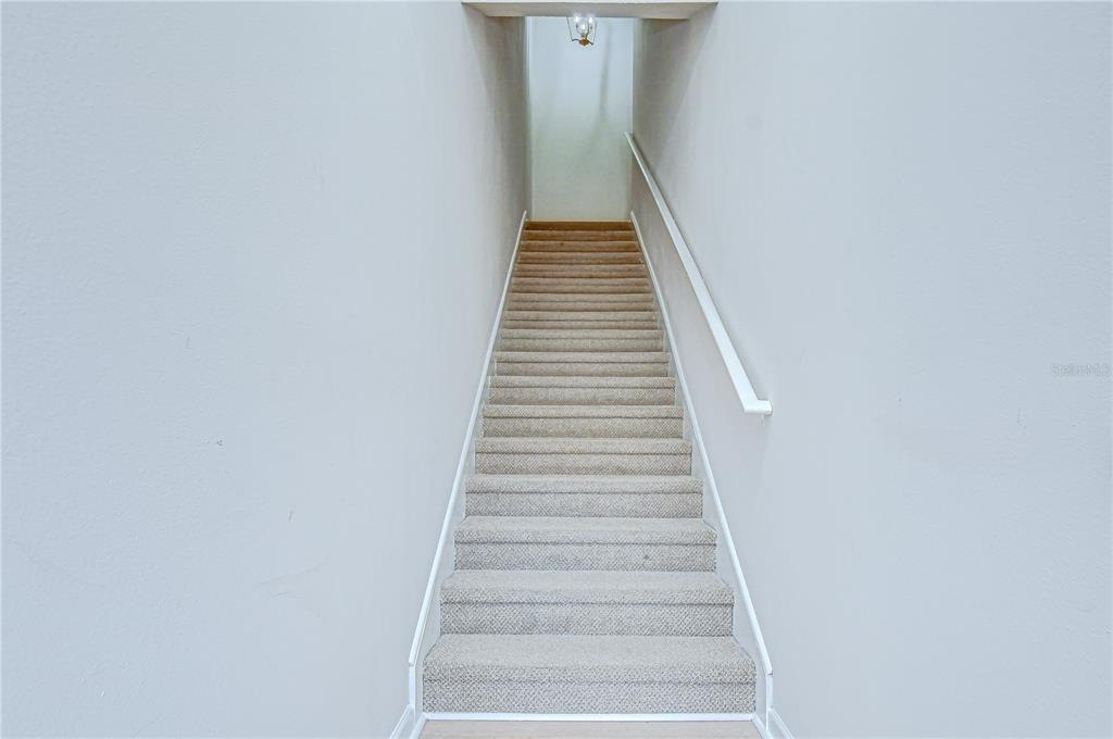 A straight staircase with beige carpeting and a white handrail ascends between two walls — 10409 VILLA VIEW CIRCLE UNIT 10409, TAMPA, FL
