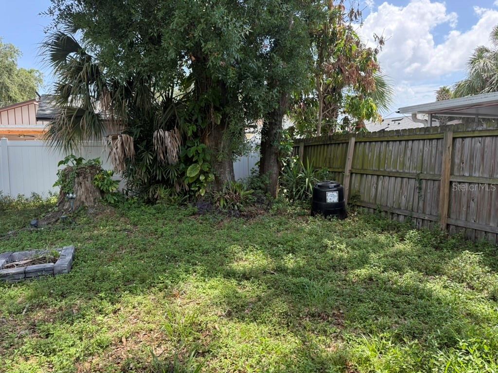 A backyard features a large tree, a wooden fence, and a black compost bin — 1512 W KIRBY STREET, TAMPA, FL