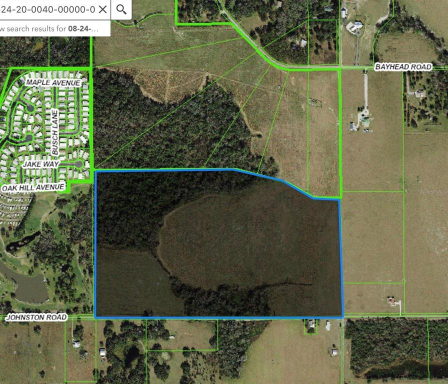 An aerial map shows a large, rectangular parcel of land outlined in blue — JOHNSTON ROAD, DADE CITY, FL