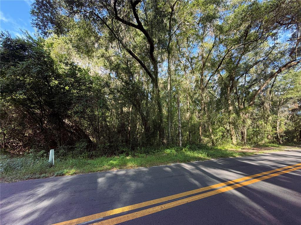 A paved road with double yellow lines runs alongside a dense, wooded lot — TBD S ST CLAIR ST, WILDWOOD, FL