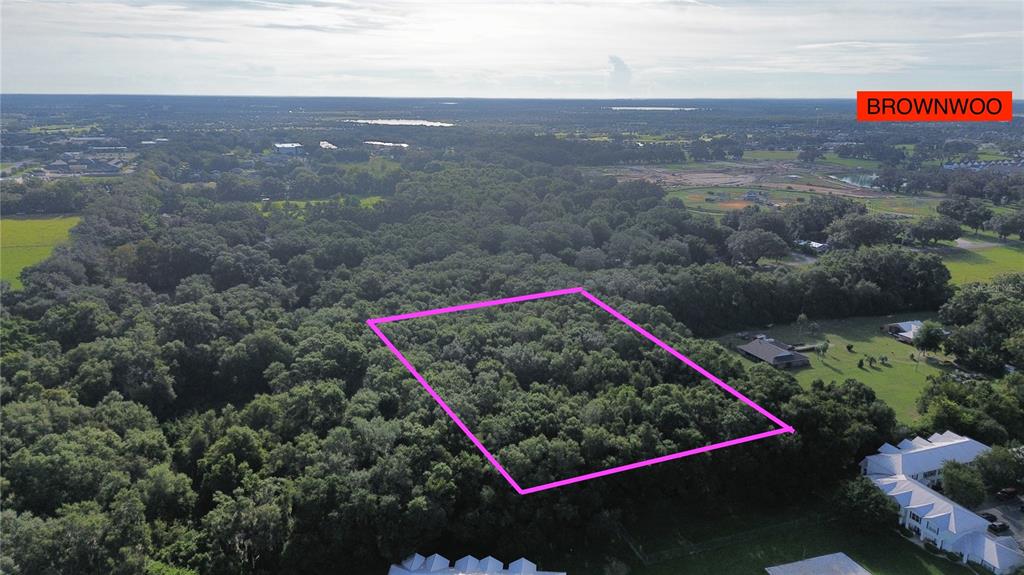 An aerial view shows a rectangular plot of land outlined in pink amidst dense trees — TBD S ST CLAIR ST, WILDWOOD, FL
