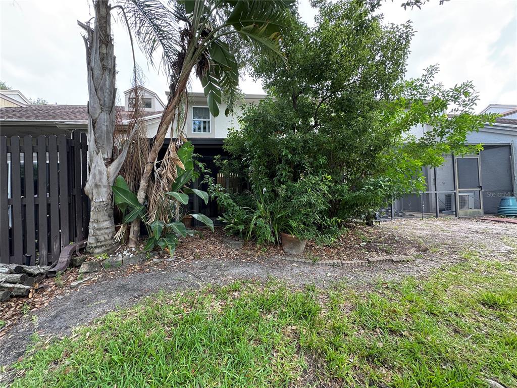 A backyard view features a palm tree, dense shrubbery, a wooden fence, and a screened patio — 705 BOUGH AVENUE, CLEARWATER, FL