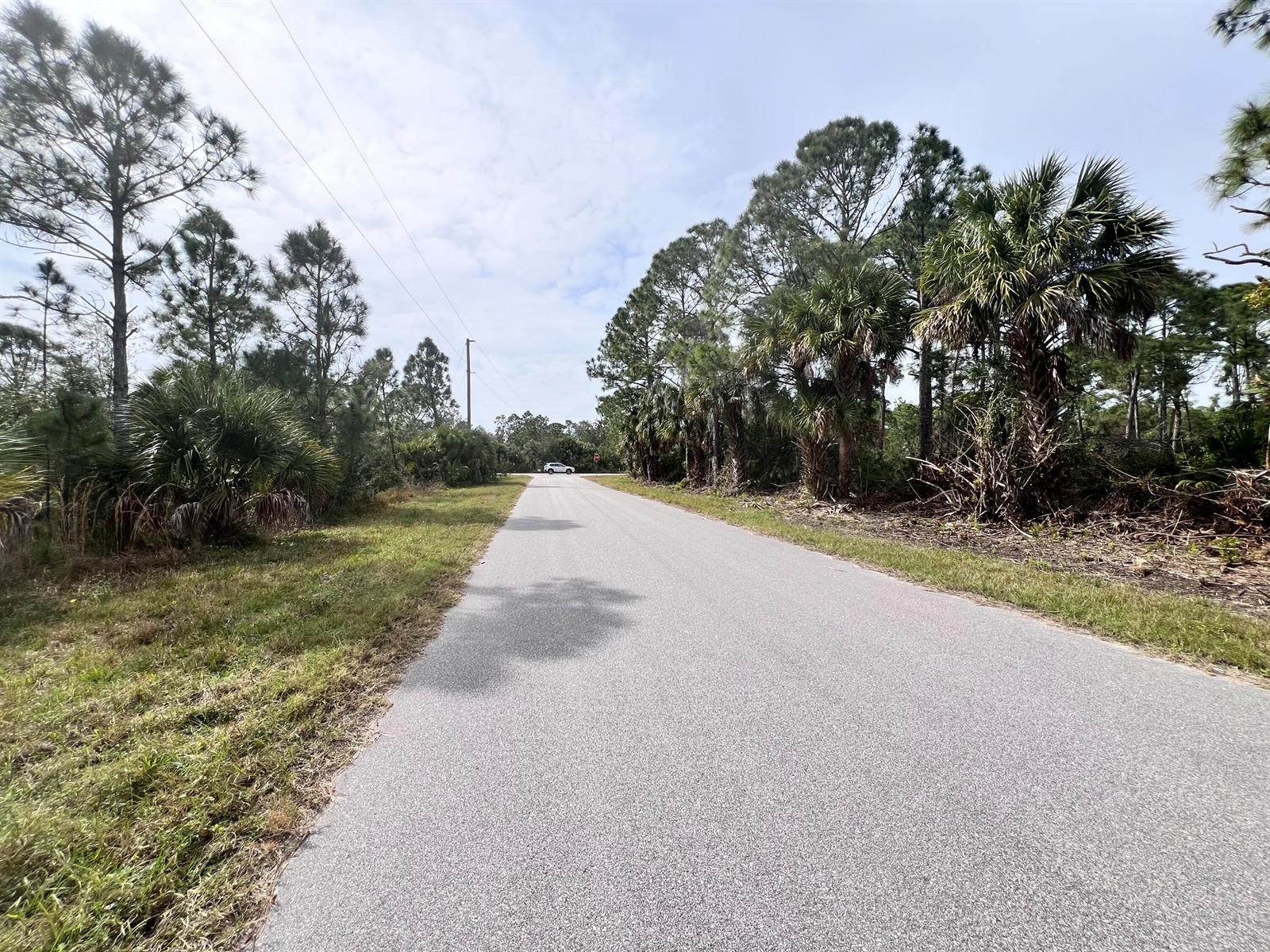 A paved road stretches through a wooded area with pine trees and palm trees — 14019 Nevada Avenue, FL 33953, FL