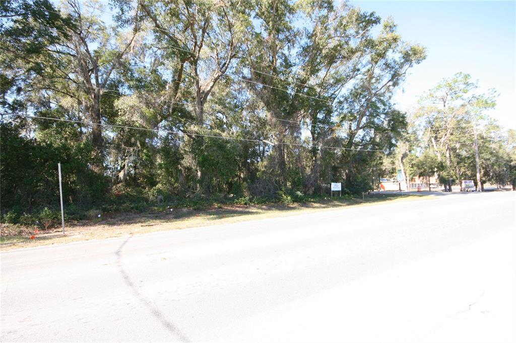 A paved road runs in front of a wooded lot with tall trees and power lines — NE 36 AVE TBD, OCALA, FL