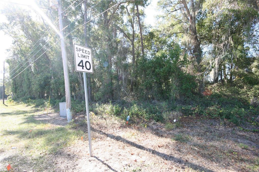 A speed limit sign stands beside a wooded lot along a roadside — NE 36 AVE TBD, OCALA, FL